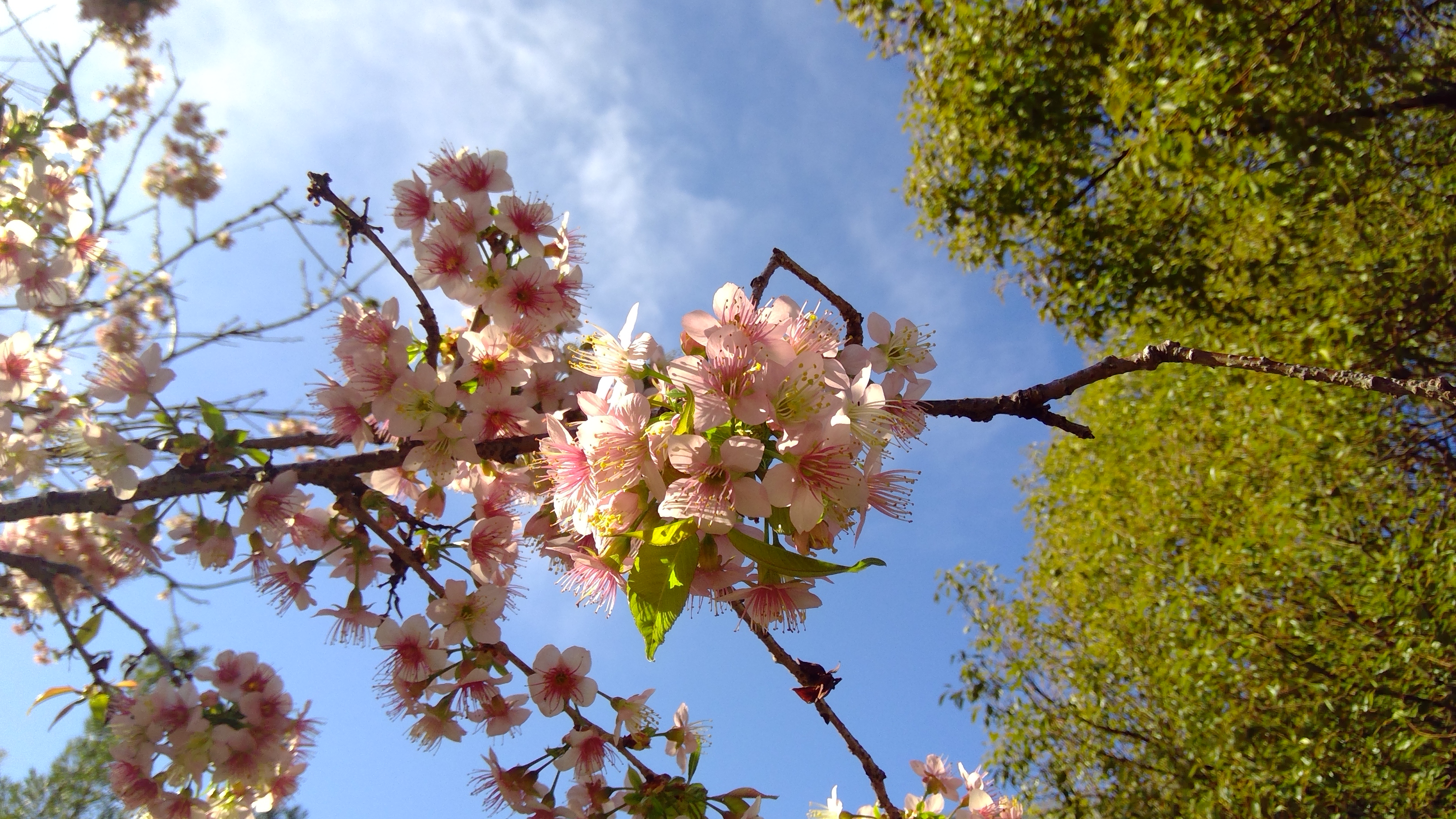 WIN_20251223_10_55_14_Pro