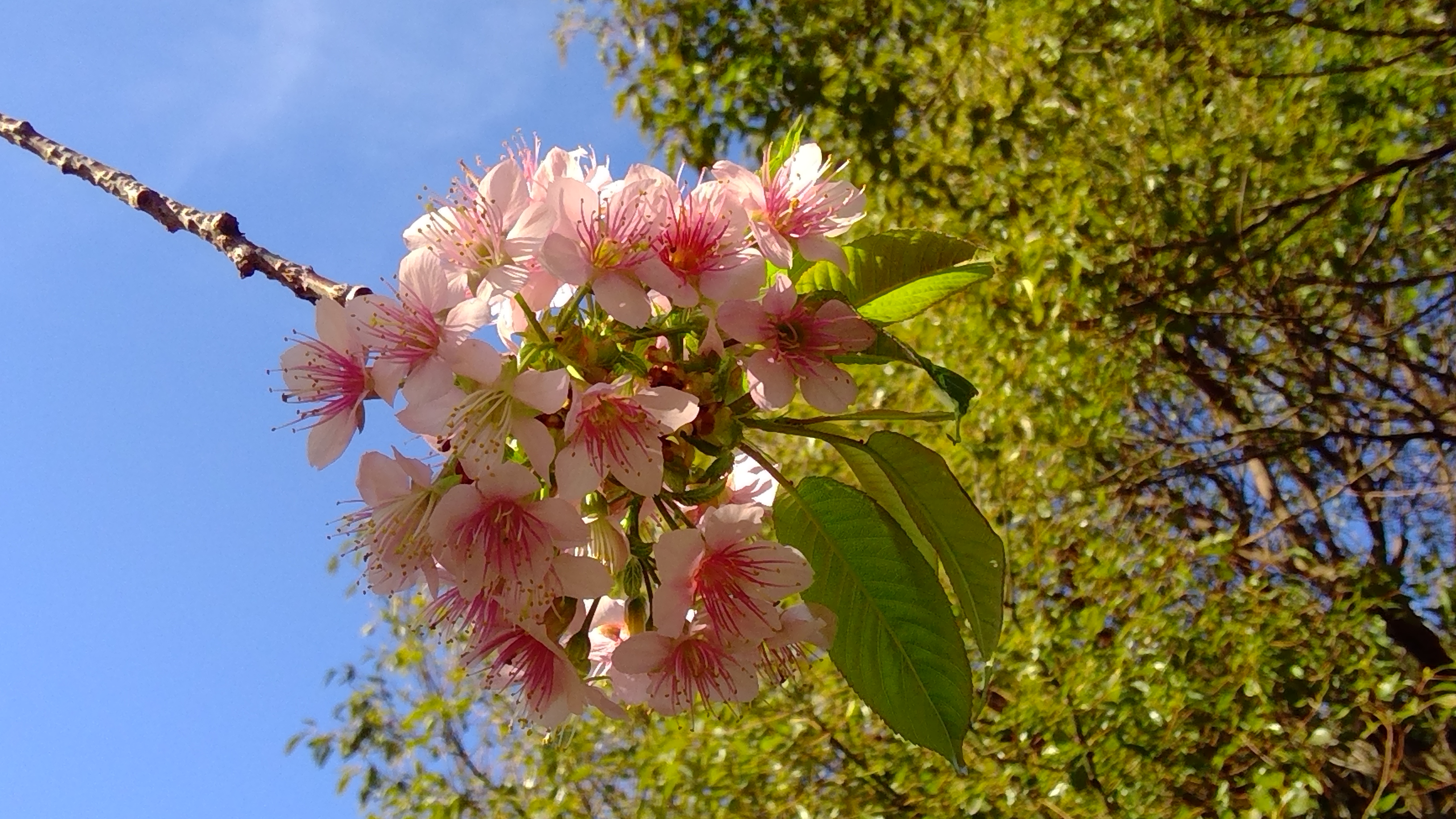 WIN_20251223_10_56_13_Pro