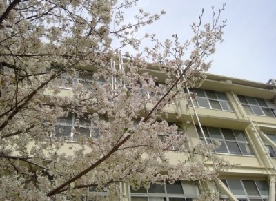 WIN_20260406_10_42_33_Pro