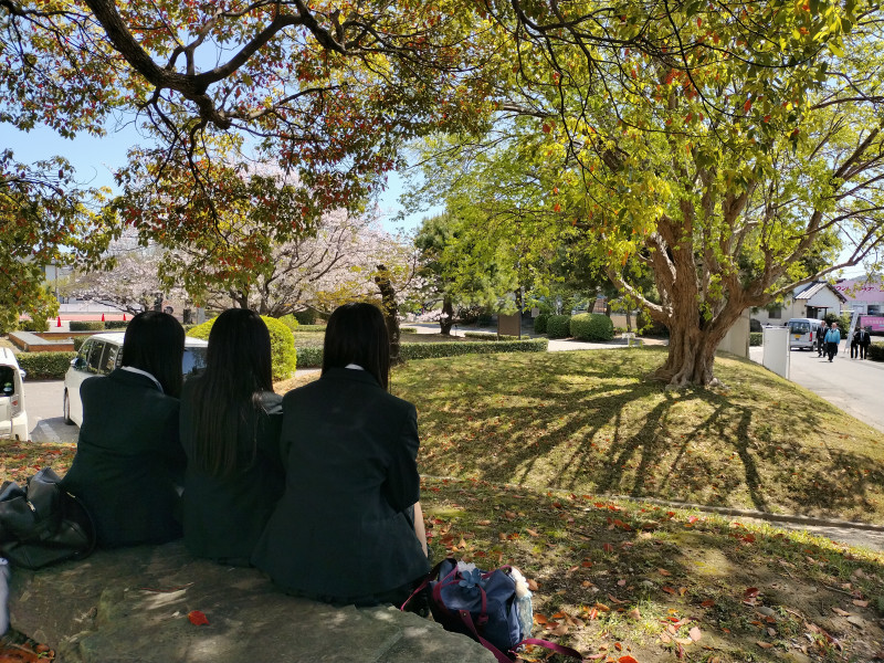 IMG_20260408_115729296