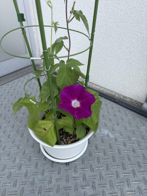 image0 (9)